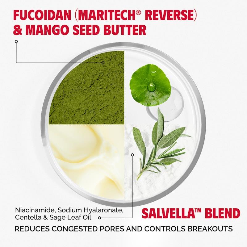 Salvarity Cool By Nature Hydrating Moisturizer 40ml For Normal Skin Type - Ingredients Label