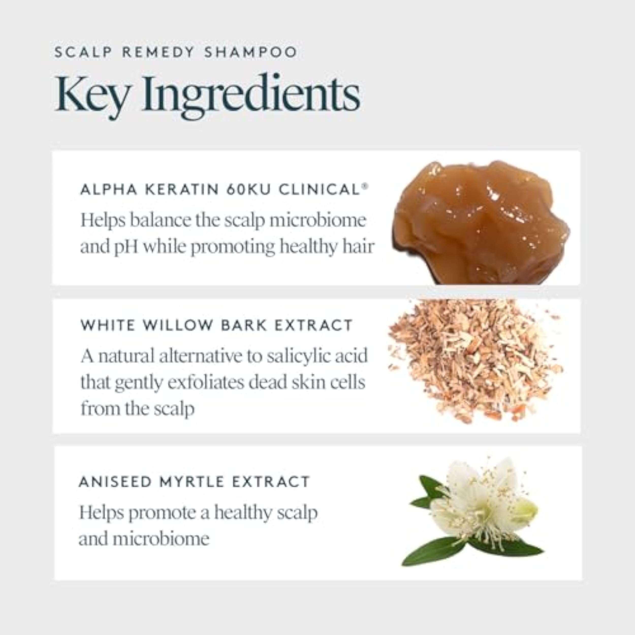 Virtue Scalp Remedy Shampoo 240ml for Balanced, Calm & Healthy Scalp - Ingredients Label