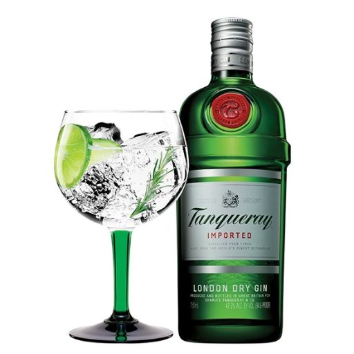 Gin Tônica Importado