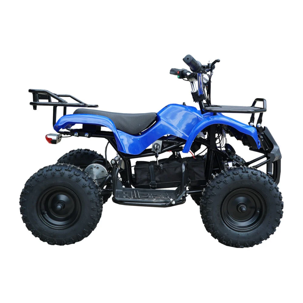 Поправка на мали Електрични возила - Electric quads