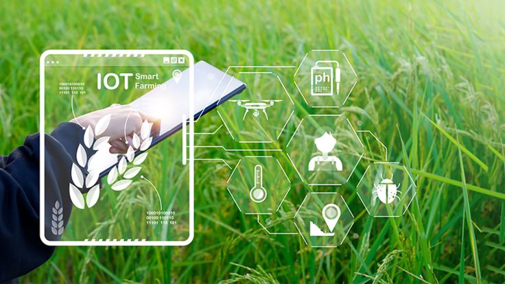 Dịch vụ và sản phẩm của DroneViet Agri