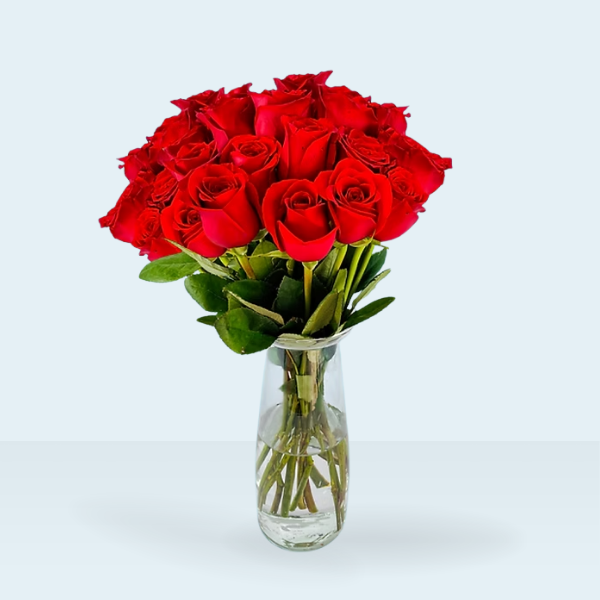 Ramo Clásico de 24 Rosas Rojas