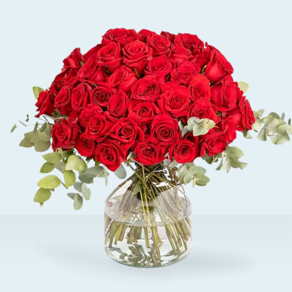 Ramo Pasión Roja: 50 Rosas con Eucalipto