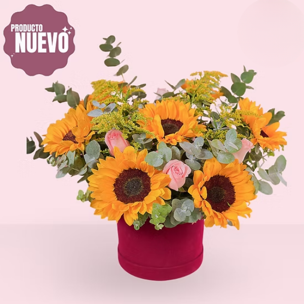 Caja Radiante de Girasoles y Rosas