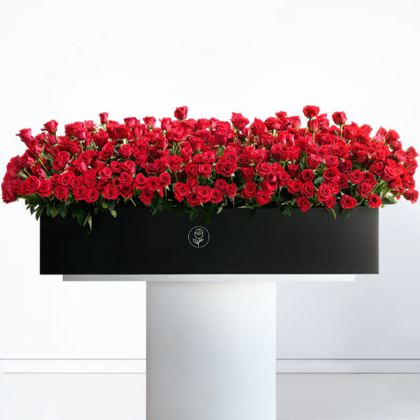 Cofre de Rosas Rojas XL
