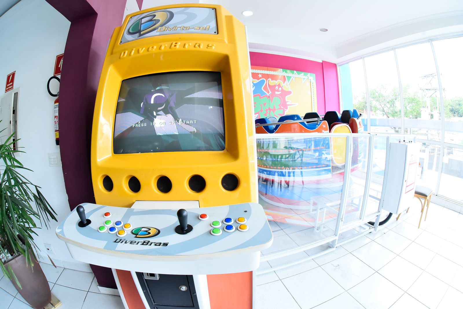 Star Kids - Cantareira - Foto 6
