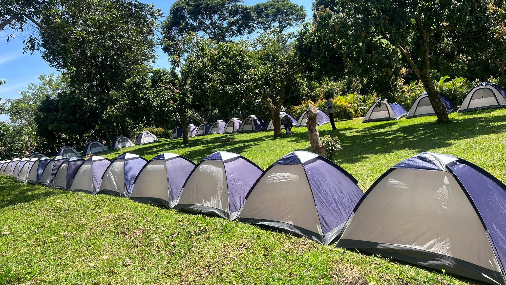 A group of tents set up for camping in a field.
