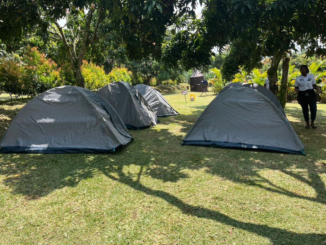 A luxurious glamping tent under a starry night sky.