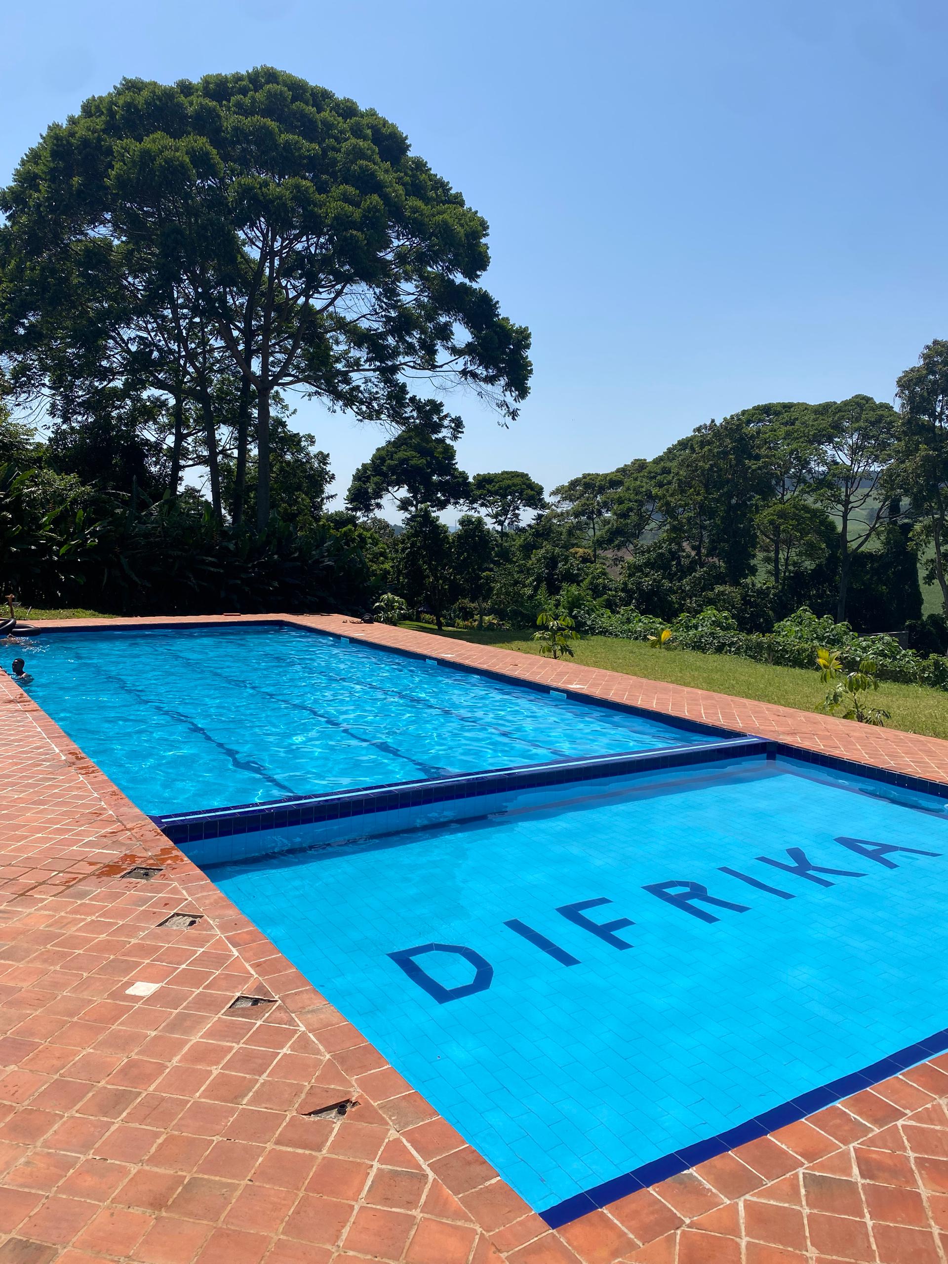 A collage of vibrant images showcasing various aspects of the resort.