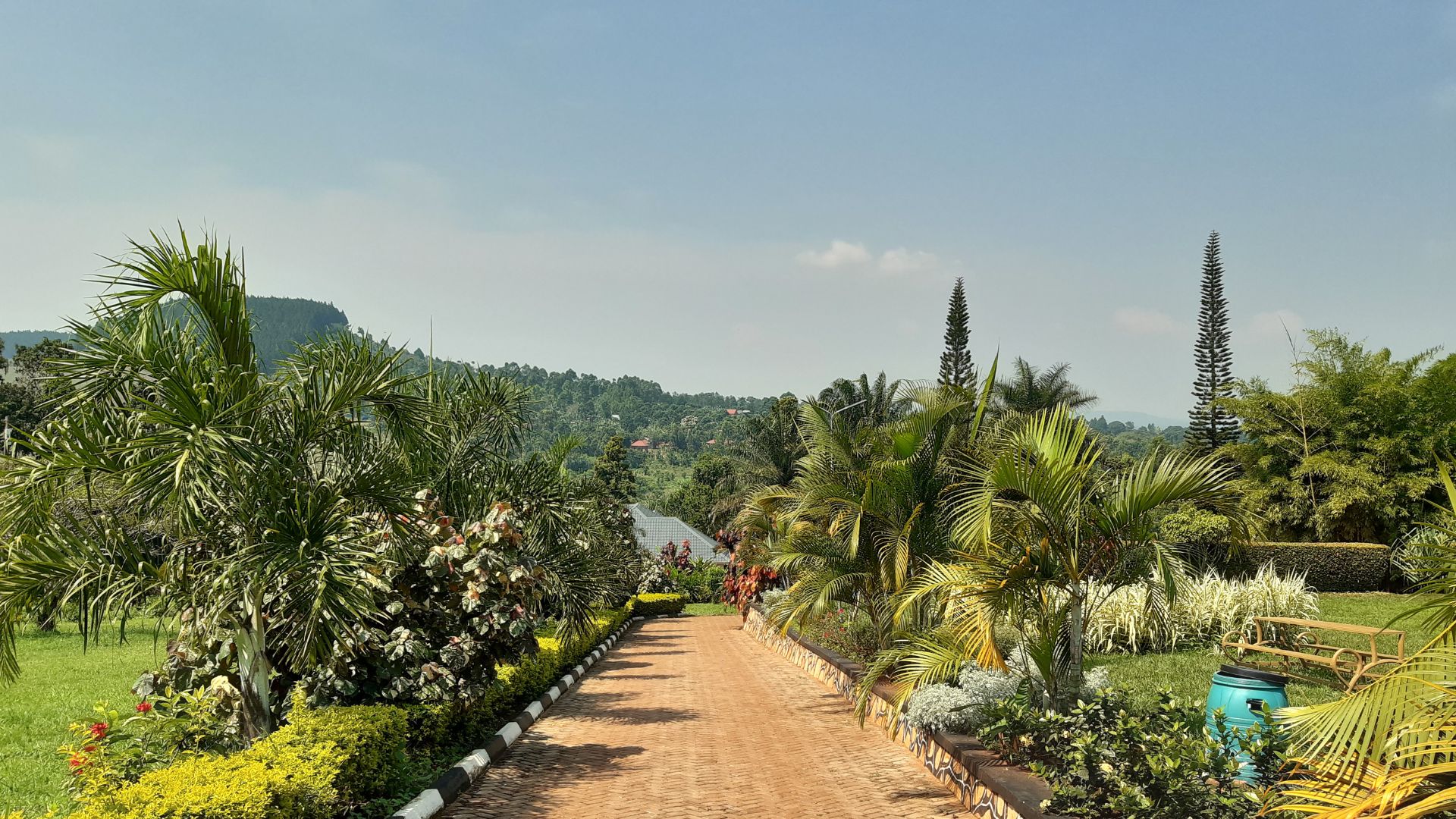 A person navigating a rope course high up in the trees.