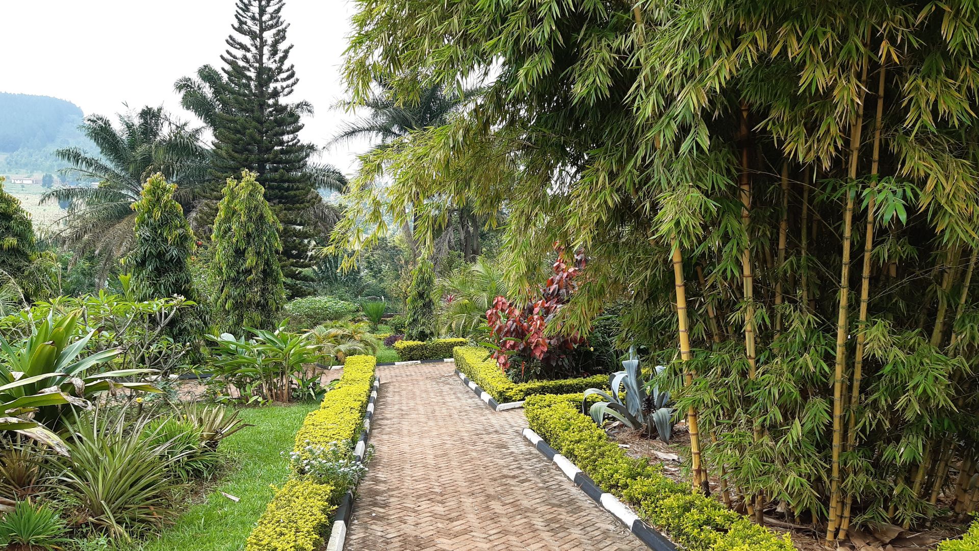 An aerial view of the resort showing its location and layout.
