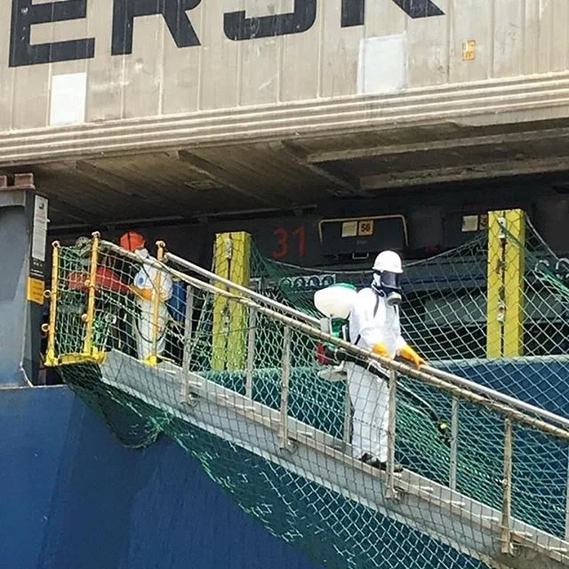 Disinfection & Pest Control