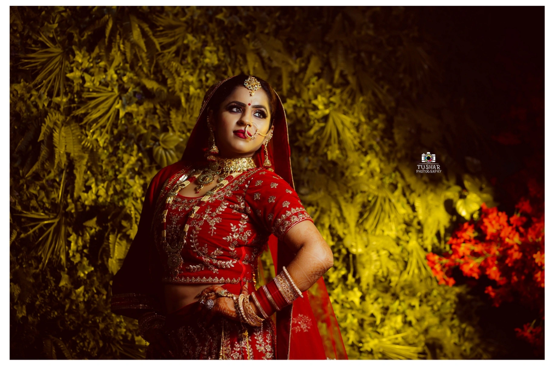 Indian wedding photography by Tushar Photography in Pathankot, Near. Gurunanak Park, Model Town