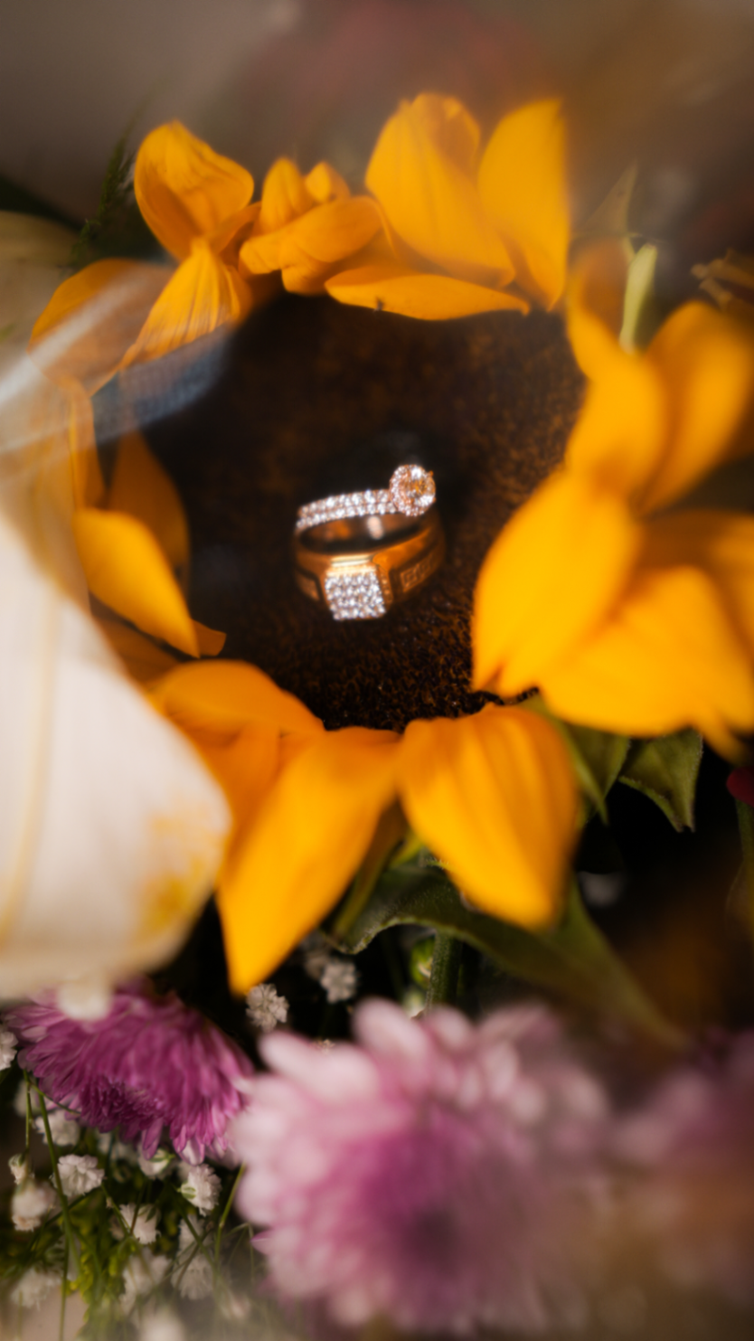 Portfolio image 25 for PSD STUDIOS, a photographer in Mumbai specializing in traditional, candid, black and white, drone.