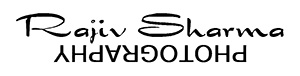 Headshot of Rajiv Sharma Photography, the photographer behind Rajiv Sharma Photography.