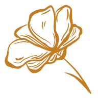 Headshot of Picture it by Meera, the photographer behind Picture it by Meera.