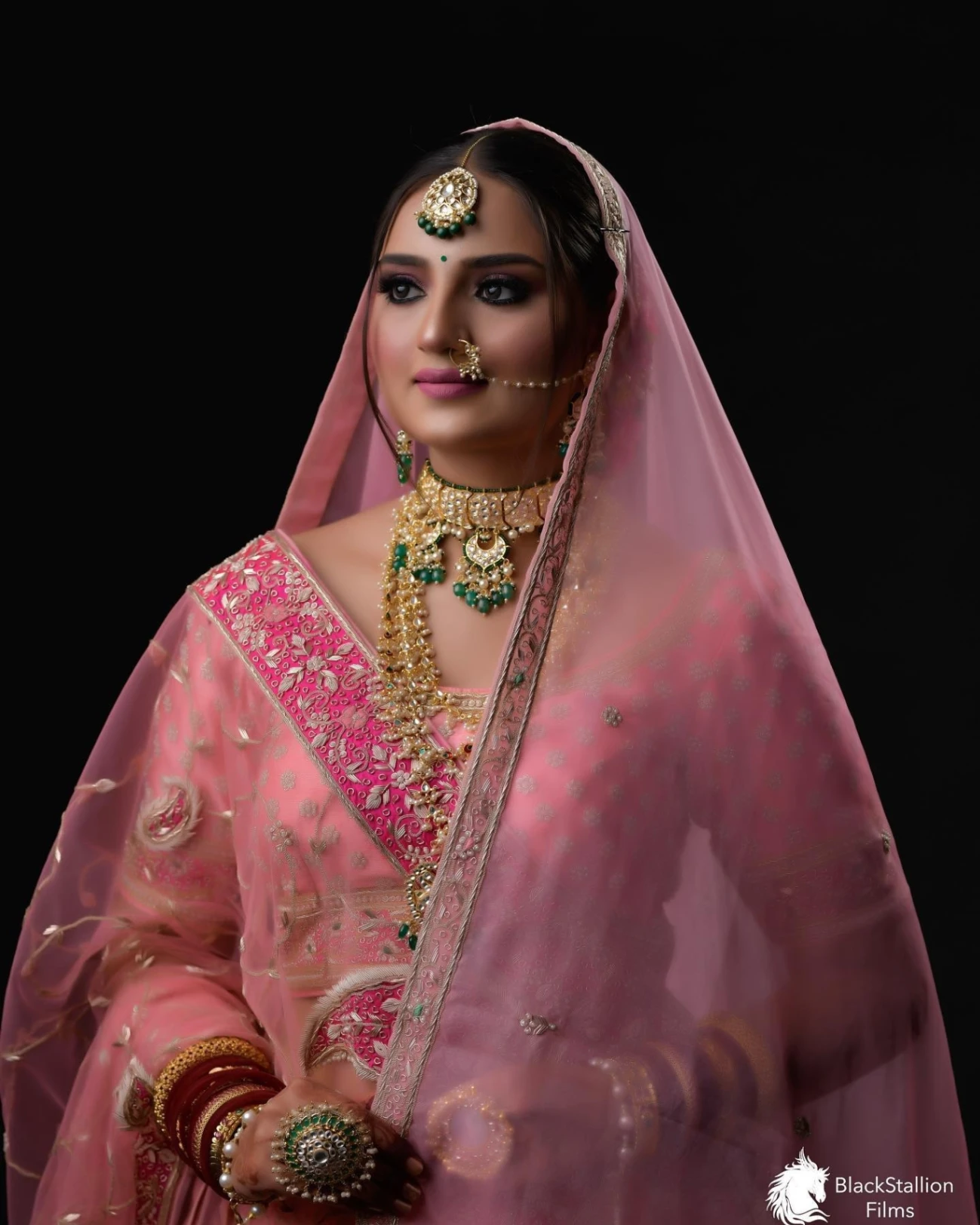 Portfolio image 32 for Black Stallion Films, a photographer in Mohali specializing in photojournalistic, traditional, vintage.