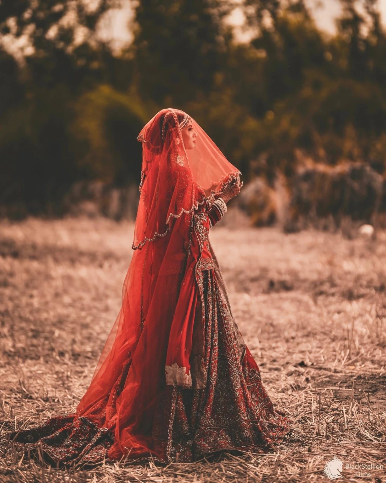 Portfolio image 48 for Black Stallion Films, a photographer in Mohali specializing in photojournalistic, traditional, vintage.