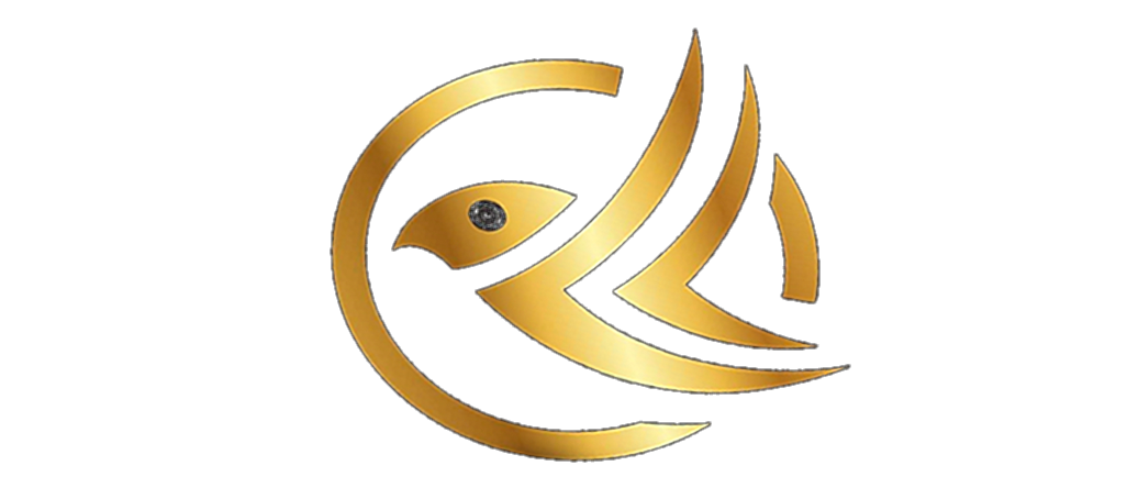 Headshot of Life Light Films, the photographer behind Life Light Films.