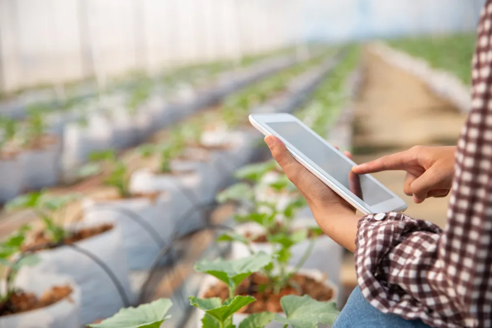 Agritech & Early Detection: Future-Proofing Modern Farming Against Global Challenges