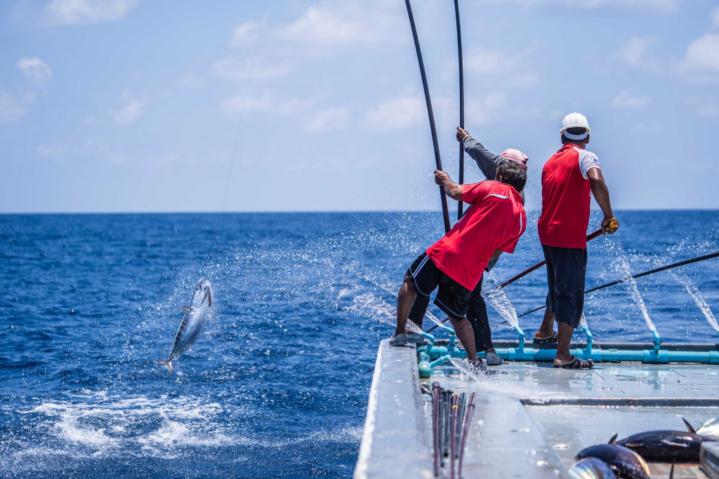 އާރްއެސްޑަބްލިއު ސިސްޓަމް ޤާއިމްކުރުމަށް 51 މިލިޔަން ރުފިޔާގެ ލޯނު ދޫކޮށްފި