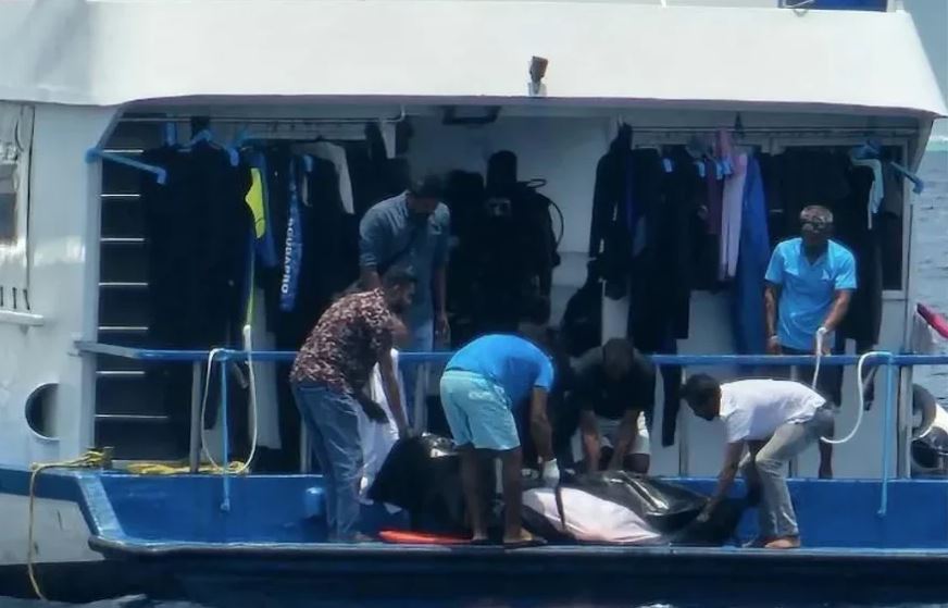 ދޯންޏެއްގެ ބުރަފަތީގައި ޖެހި، ފަތުރުވެރިއަކު މަރުވެއްޖެ