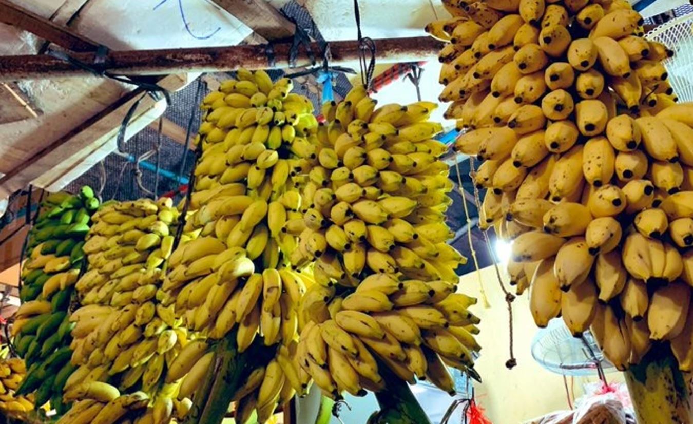 ވައިކަރަދޫ ދަނޑުވެރިންގެ އުފެއްދުންތައް އުފުލުމަށް ހާއްސަ ފެރީއެއް ހަމަޖައްސައިފި