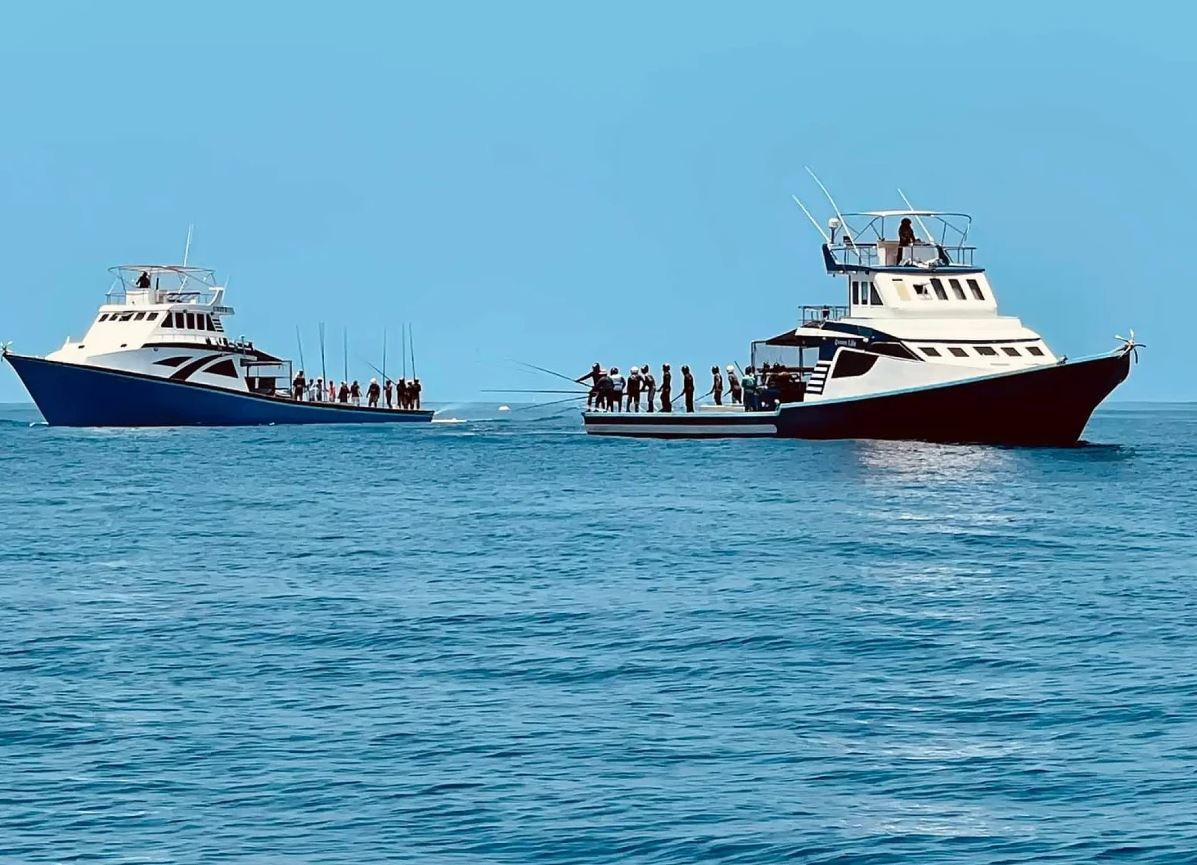 މަސްދޯނިތަކަށް މާދަމާއިން ފެށިގެން އެސްޓީއޯ ޝެޑް ރޭޓުގައި ތެޔޮ ލިބޭނެ