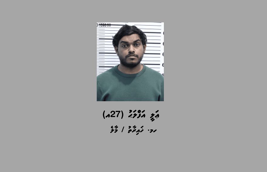 ބްރައިޓް މައިންޑްސްގެ ކުރީގެ ވެރިޔާ އަފްލަހުގެ މައްޗަށް ކުޑަކުއްޖަކަށް ޖިންސީ ގޯނާކުރި ކަމުގެ ހަ ދައުވާ