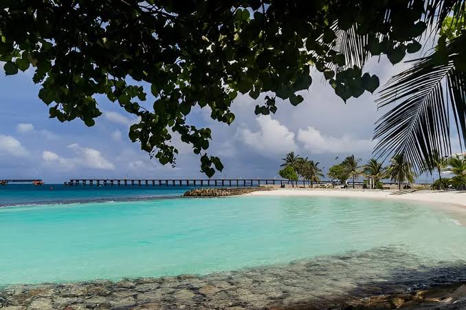 އާޓިފިޝަލް ބީޗް  ހިމެނޭ  ސަރަހައްދުގައި ބޮޑު ގްރޫޕް މާރާމާރީއެއް