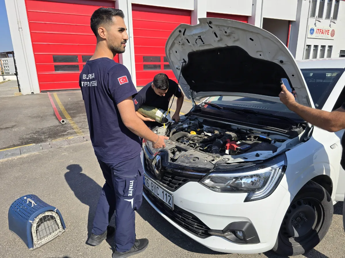 Otomobilin motorunda ilçe ilçe gezdi