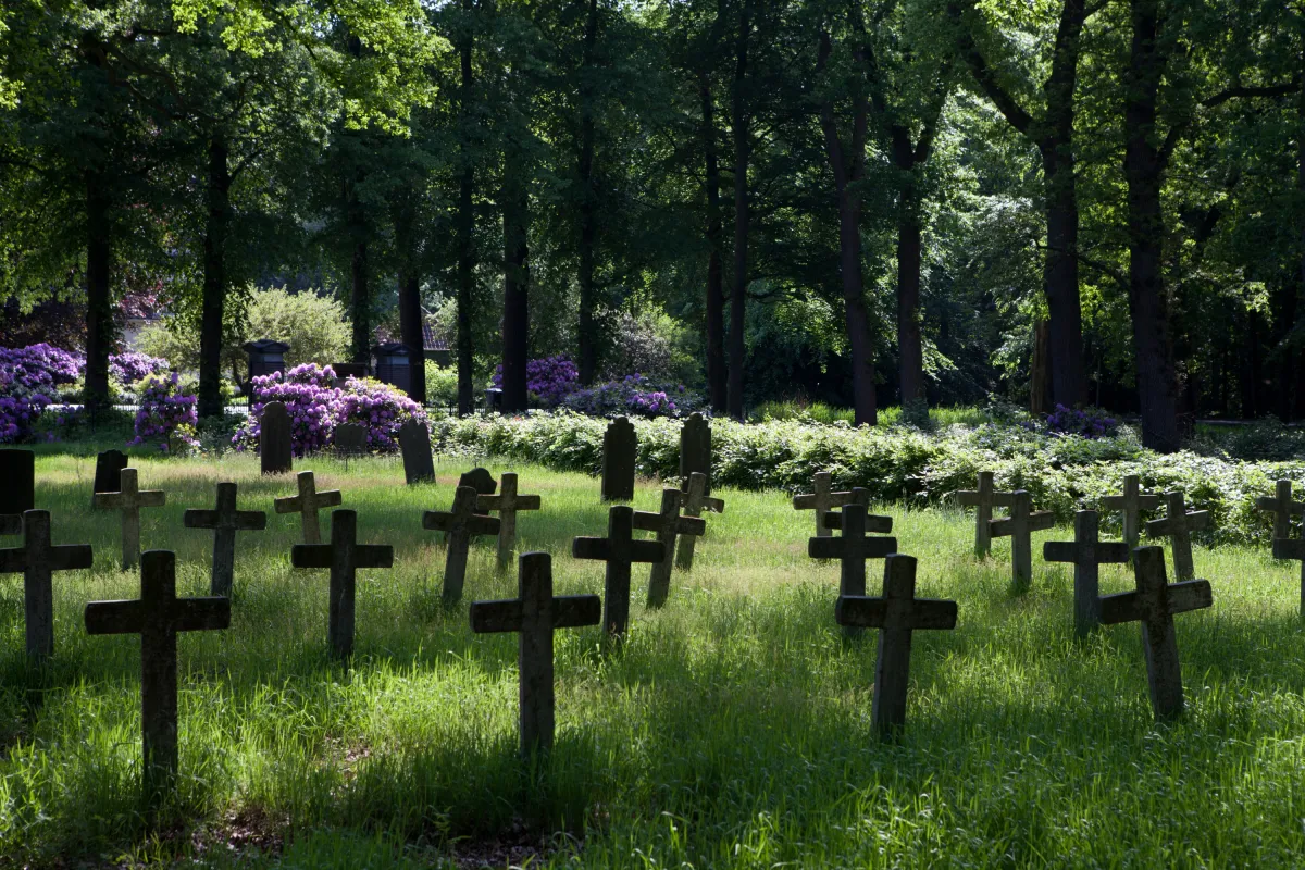 Kruizen op de begraafplaats van de voormalige kolonie