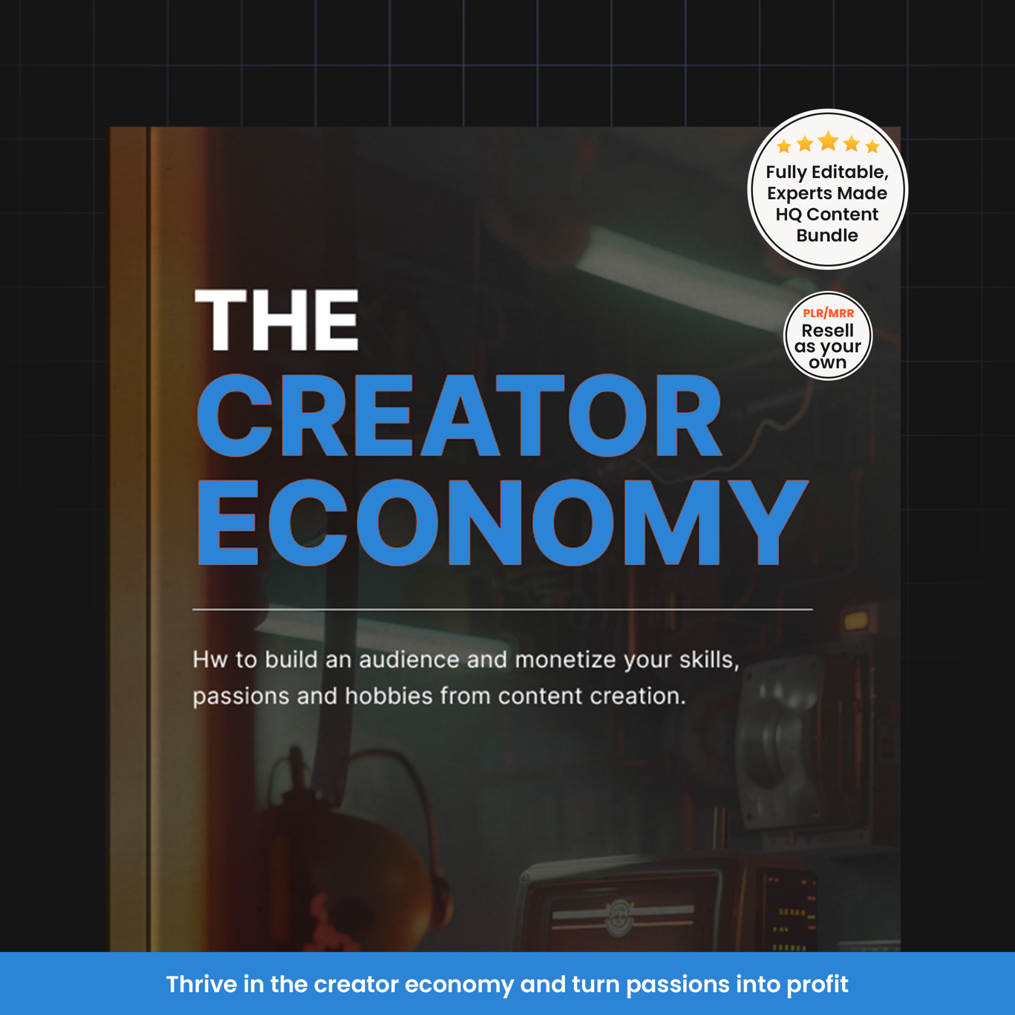 The Creator Economy PLR MRR Ebook | Content Creation Guide | Master Resell Rights | Fully Editable HQ Content