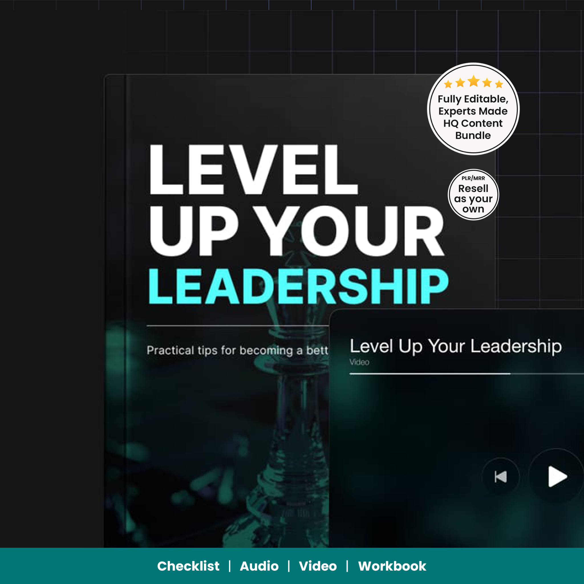 Level Up Your Leadership PLR MRR Course | Video, Audio, E-Book & Workbook | Master Resell Rights