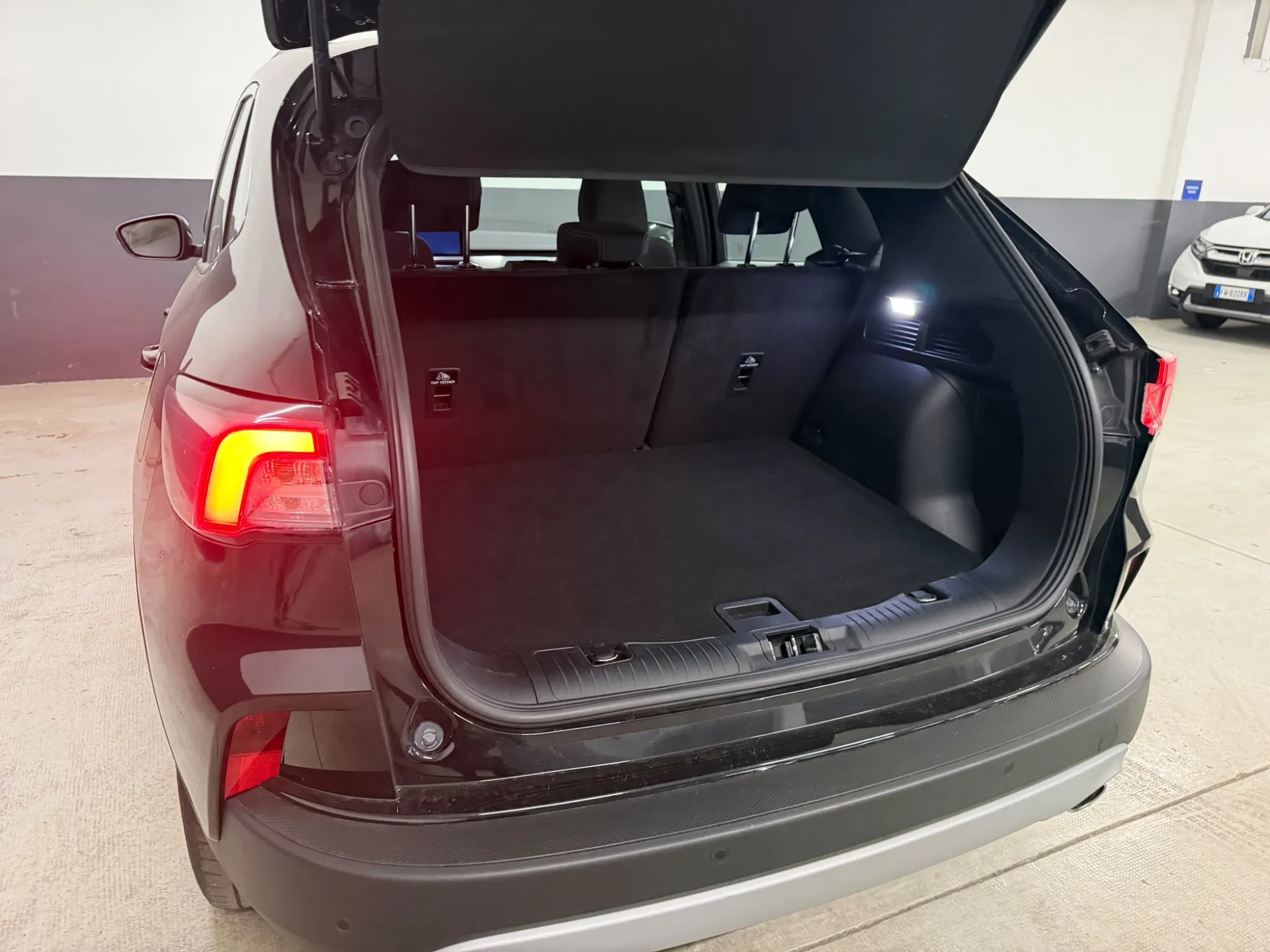 Anteprima 7 di FORD Kuga