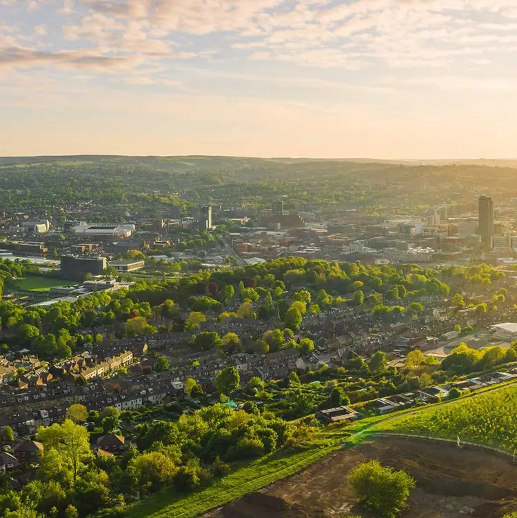 Sheffield View