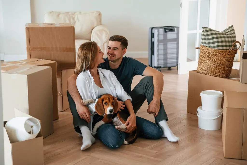 Lettings