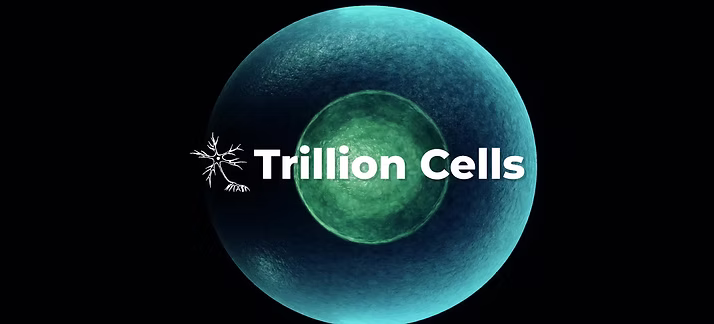 Trillion Cells, LLC