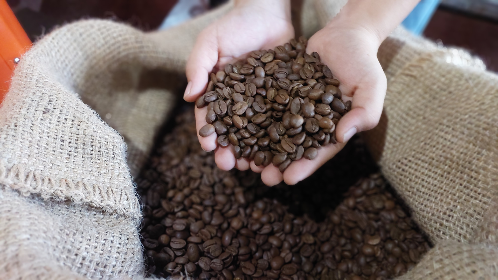 Core Roasting Services