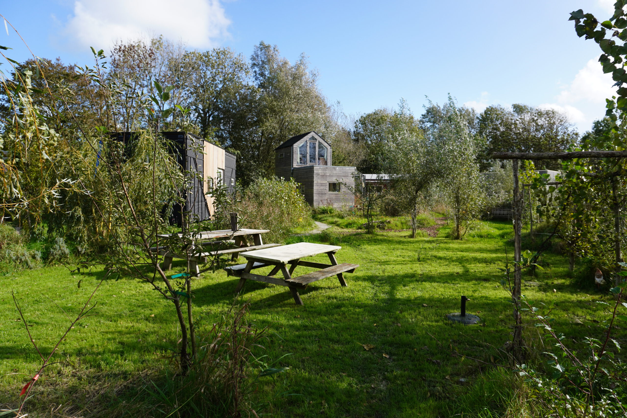 Een modern tiny house in een weelderig groen bos