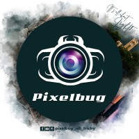 Pixelbug