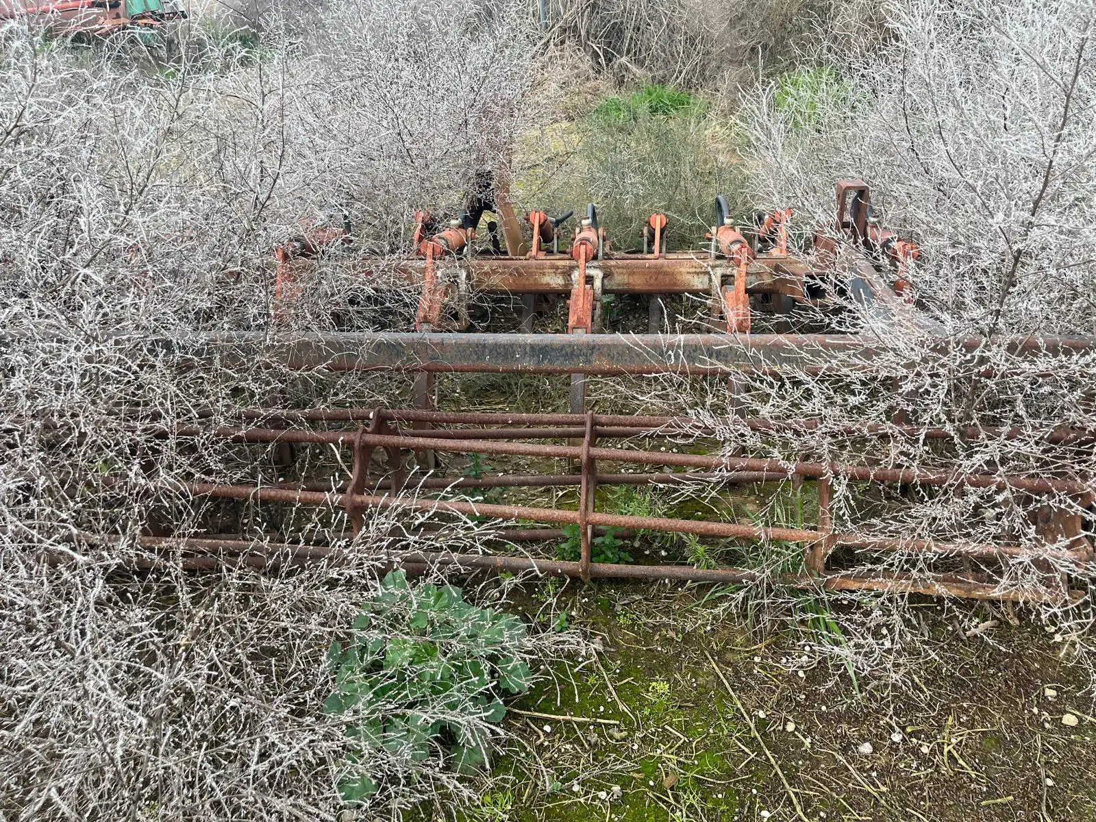 Cultivador artesanal de 11 brazos de fundición con rulo - vista 2