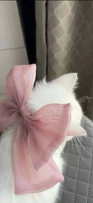 Foto Risma dila