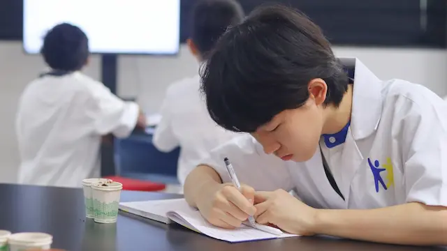 project collaboration