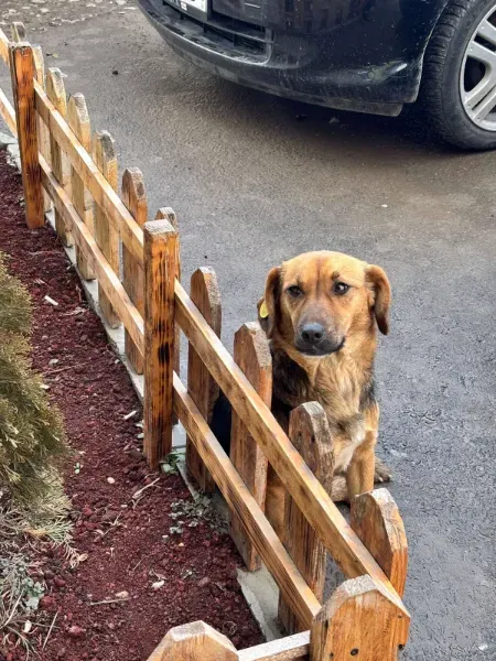 1769455682724-gbg6lj