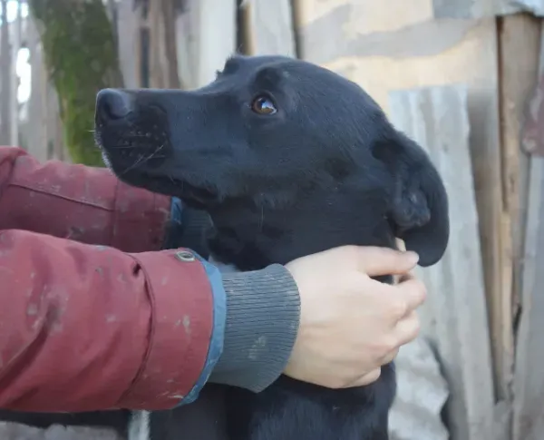 photo_2026-04-04_16-49-55