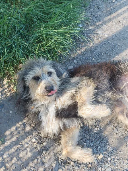 27909eb9-942f-4d5d-9f56-43657936f6c9