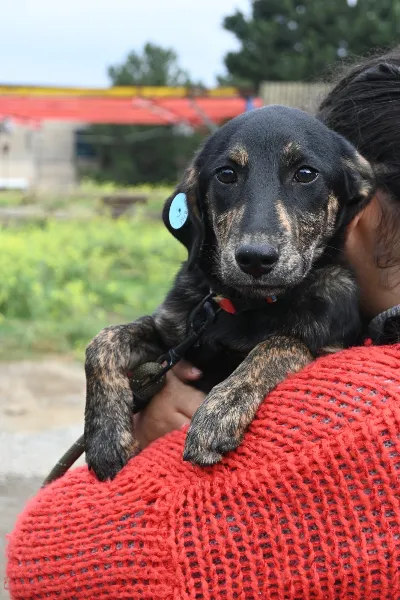 42390079-458c-4e4b-9a08-762660edeff4