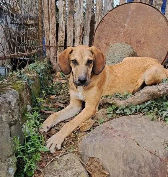 photo_2026-04-04_17-09-36