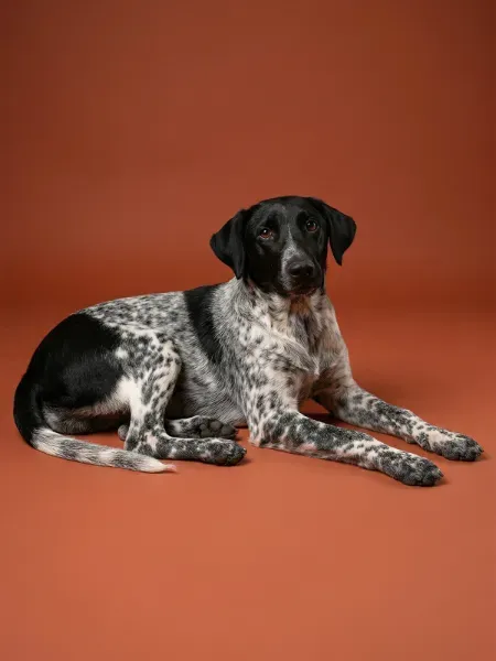 Gemini_Generated_Image_anax0tanax0tanax